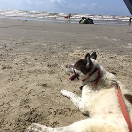 We took our eldest pup here. She loved it! We took our eldest pup here. She loved it!