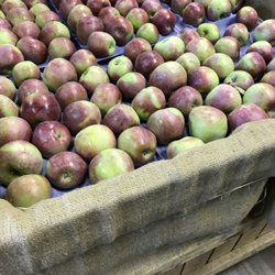 Blue Hills Orchard - Picked the day before and tasted like it.