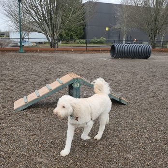 Hondo Dog Park - Dog Parks Near Me - Hillsboro, Oregon Hondo Dog Park - Dog Parks Near Me - Hillsboro, Oregon