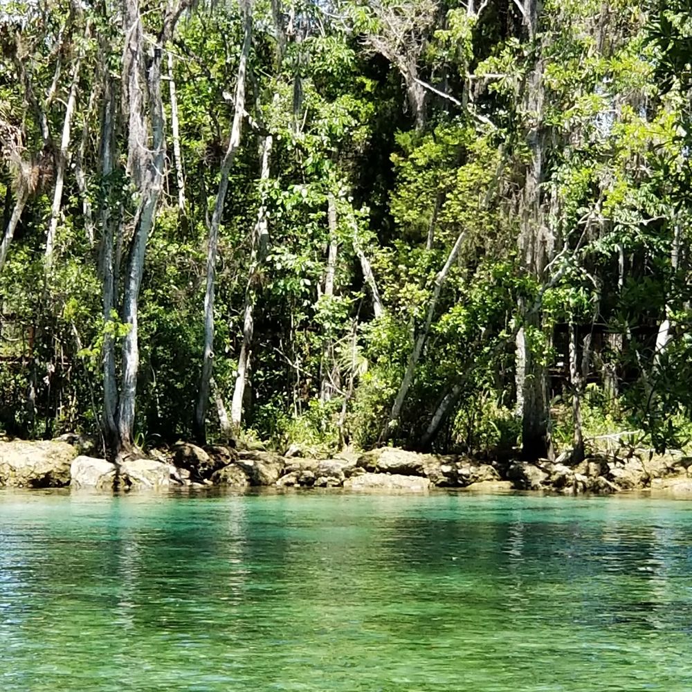Three Sisters Springs - Tours Near Me - Crystal River, Florida Three Sisters Springs - Tours Near Me - Crystal River, Florida