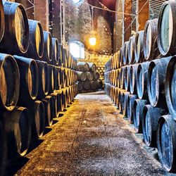 Bodegas Fundador Pedro Domecq - Spezielle Faßschichtung (08/2025)