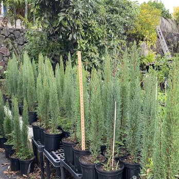 Sunrise Nursery - Gardeners Near Me Sunrise Nursery - Gardeners Near Me