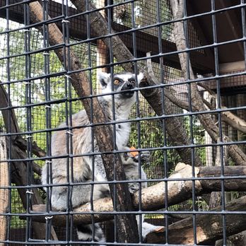 Central Coast Zoo - Zoos Near Me - Atascadero, California Central Coast Zoo - Zoos Near Me - Atascadero, California