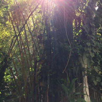 Haiku Gardens Weddings - Venues & Event Spaces Near Me - Kaneohe, Hawaii