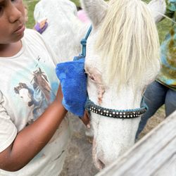 HWLM Youth Ranch