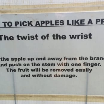 Eastmont Orchards - Pick Your Own Farms Near Me - Colts Neck, New Jersey