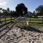 Photo of Malachi Acres