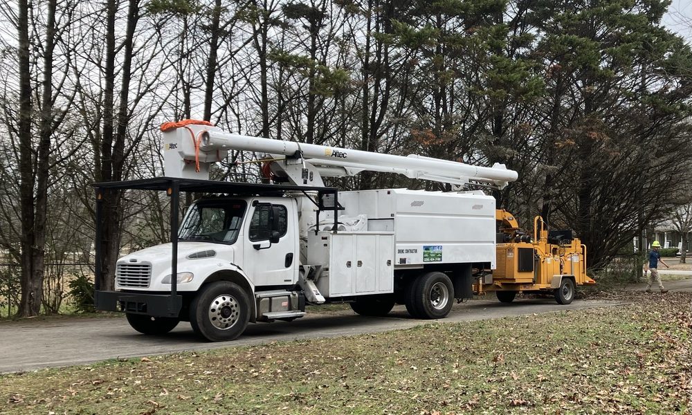 J&C Tree Experts - tree service in Huntsville, AL