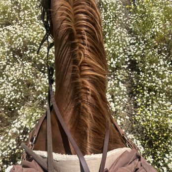 Central Coast Trailrides - Horseback Riding Near Me
