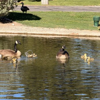 The Lakes - Family - 4/4/26 - Real Estate Near Me - Las Vegas, Nevada