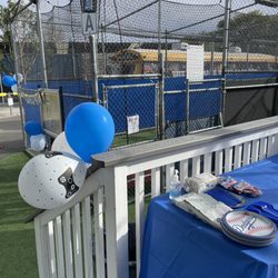 Baseball Dynamics - Gaming bus fit perfectly next to cages!