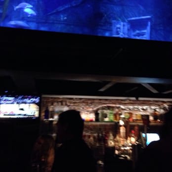 Dive Bar - Dive Bars Near Me - Sacramento, California Dive Bar - Dive Bars Near Me - Sacramento, California