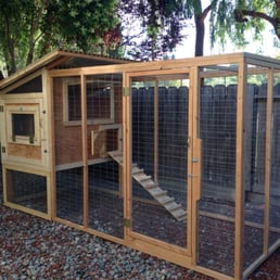 Backyard Chicken Coop Backyard Chicken Coop