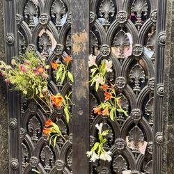 Museo Evita - Flowers are brought daily