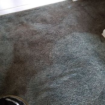 Expert Carpet Cleaning - Carpet Cleaning - Carpet Cleaning Near Me - Pinellas Park, Florida Expert Carpet Cleaning - Carpet Cleaning - Carpet Cleaning Near Me - Pinellas Park, Florida