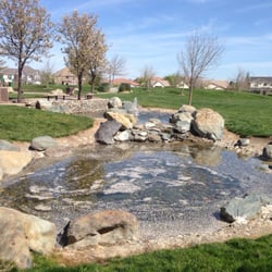 Robert Kellogg Park  - Water feature. Covered in flower petals