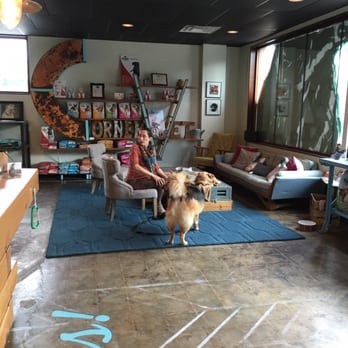 PAZ Veterinary - Welcoming front lobby - Veterinarians Near Me - Austin, Texas PAZ Veterinary - Welcoming front lobby - Veterinarians Near Me - Austin, Texas
