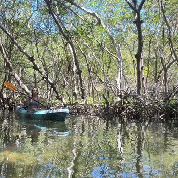 SURFIT USA | Kayaks, Paddleboards & Surf - In the mangrove tunnels.. - Surfing Near Me - Sarasota, Florida