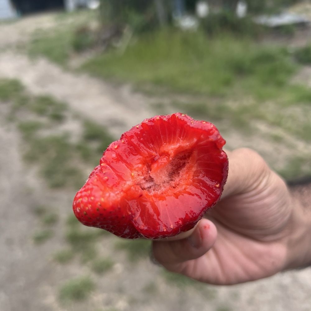 The Farm Sonoma, CA 95476 - Last Updated January 2026 - Yelp