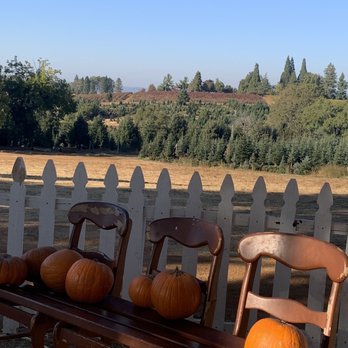 Boa Vista Orchards - Pumpkins and scenic views - Fruits & Veggies Near Me - Placerville, California