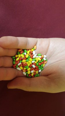 Sahar S Kitchen Pakistani 183 King Street Kitchener On