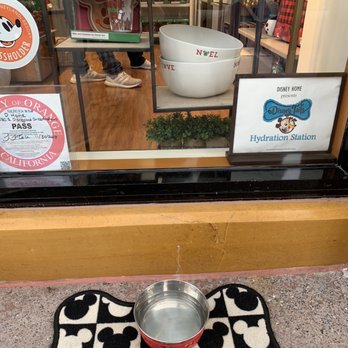 Disney Home - Water for dogs! - Home Decor Near Me - Anaheim, California