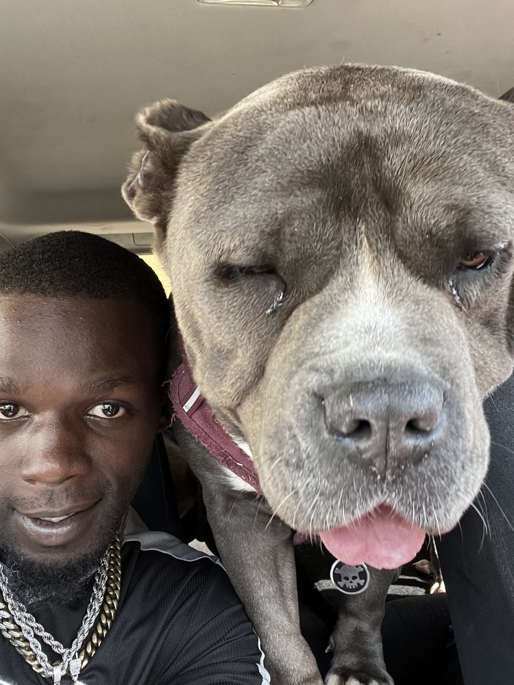 TUNGSTEN STEEL KENNELS Request an Appointment 10 Photos South