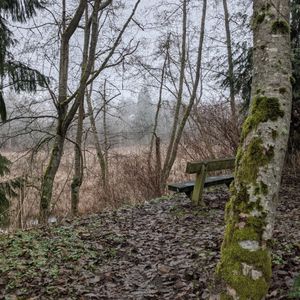 Narbeck Wetland Sanctuary on Yelp