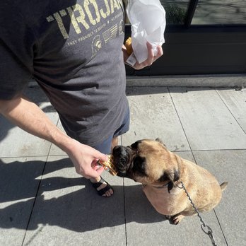 petNmind Naturals & Self-Wash Monrovia - Pet Stores Near Me - Monrovia, California