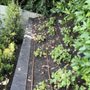 Cesco Landscape Management