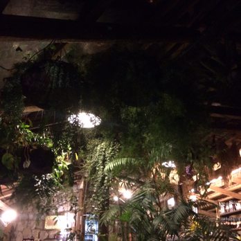 Fattoria Terranova - Ceiling of plants - Italian Near Me - Massa Lubrense, NA