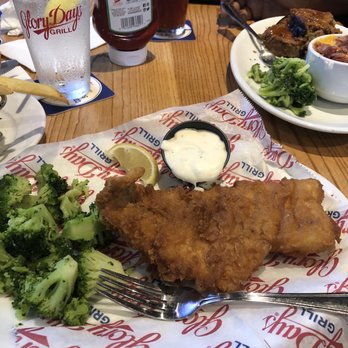 Glory Days Grill - Fish!! - American Near Me - Tallahassee, Florida Glory Days Grill - Fish!! - American Near Me - Tallahassee, Florida