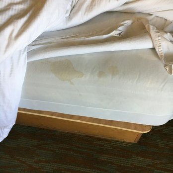 Surfer Beach Hotel - San Diego, CA