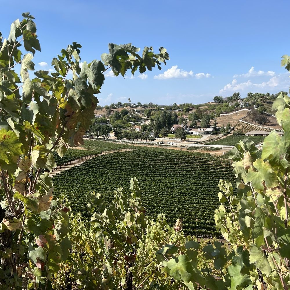 Oak Mountain Winery - Wineries Near Me - Temecula, California Oak Mountain Winery - Wineries Near Me - Temecula, California