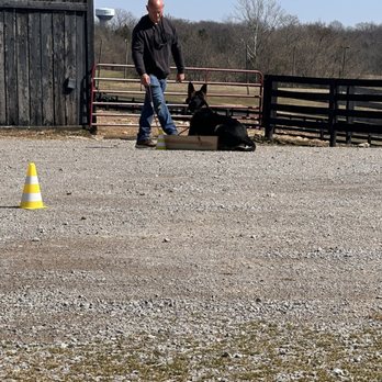 All-X K9 - Pet Training Near Me All-X K9 - Pet Training Near Me
