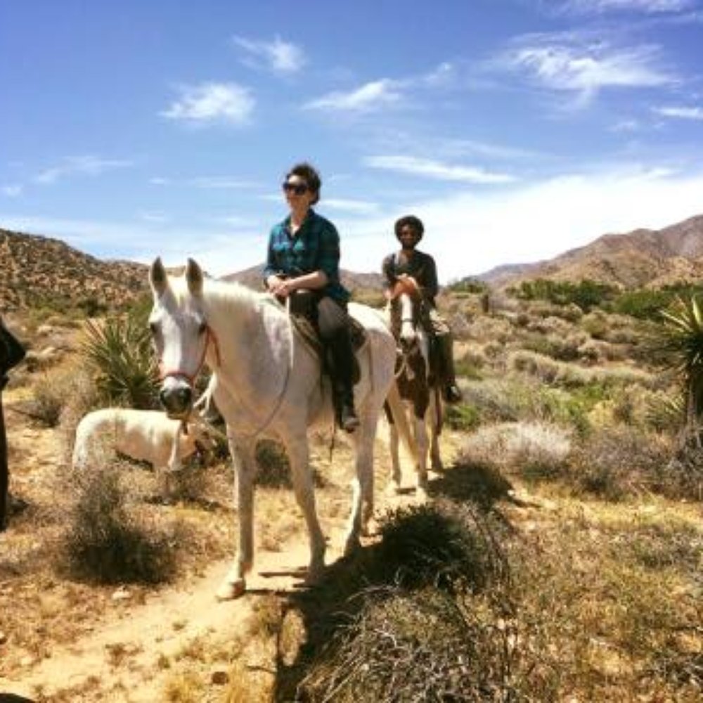 Crazy Horse Ranch - Riding through the desert! What an incredible experience :) - Horseback Riding Near Me - Morongo Valley, California Crazy Horse Ranch - Riding through the desert! What an incredible experience :) - Horseback Riding Near Me - Morongo Valley, California