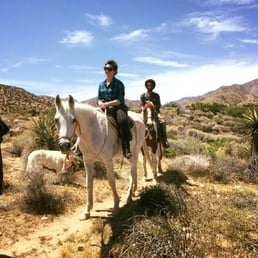 Riding through the desert! What an incredible experience :) Riding through the desert! What an incredible experience :)