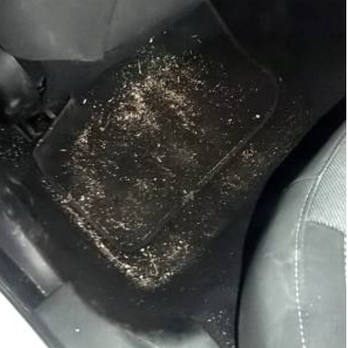 Budget Rent a Car - Their proof that $450 worth of sand vacuuming was justified. - Car Rental Near Me - Kahului, Hawaii Budget Rent a Car - Their proof that $450 worth of sand vacuuming was justified. - Car Rental Near Me - Kahului, Hawaii