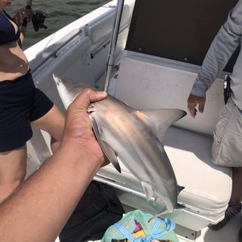 Miss Judy Charters - Baby Shark! - Fishing Near Me - Savannah, Georgia Miss Judy Charters - Baby Shark! - Fishing Near Me - Savannah, Georgia