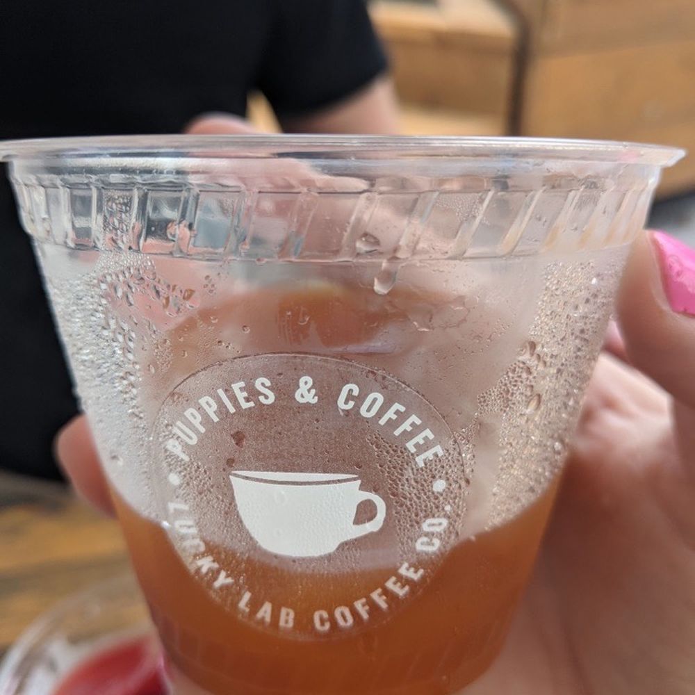 Lucky Lab Coffee - Desserts Near Me - Austin, Texas Lucky Lab Coffee - Desserts Near Me - Austin, Texas