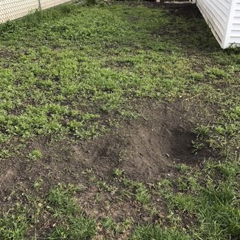 Midwest Plains Landscaping - Before - Landscaping Near Me