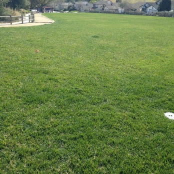 Hawk View Park - Giant grassy field - Parks Near Me - Encinitas, California Hawk View Park - Giant grassy field - Parks Near Me - Encinitas, California
