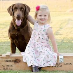 RockErin Kennels & Retrievers