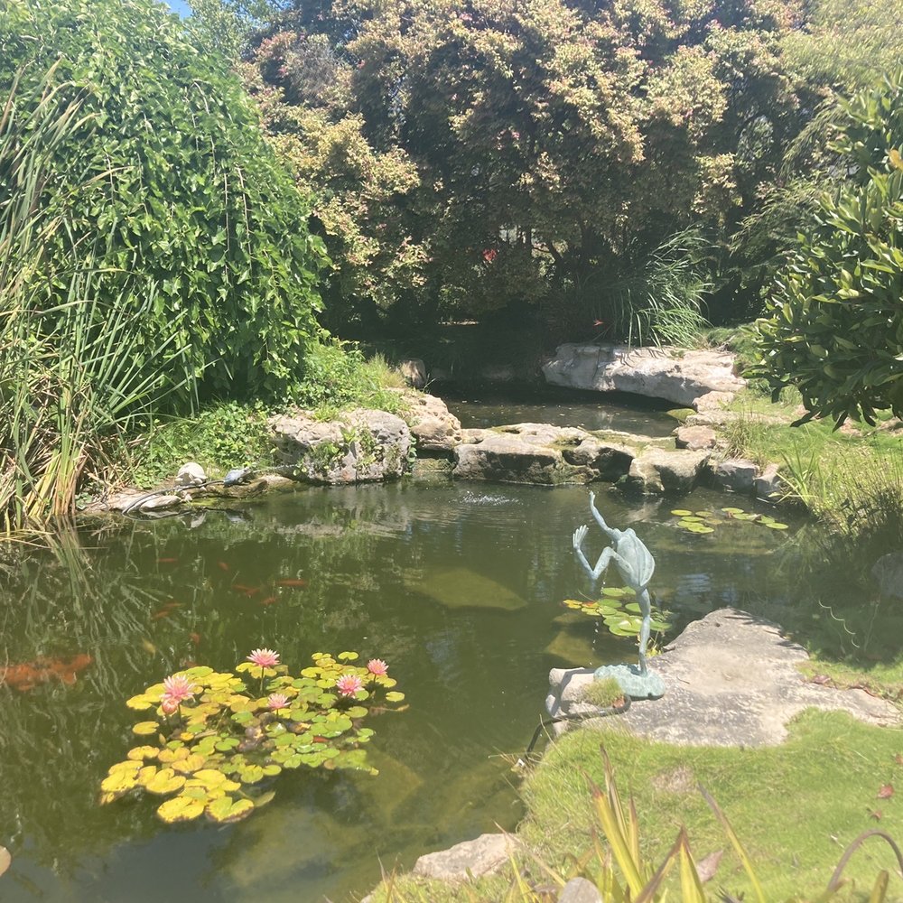 Seaside Gardens - Asian garden koi pond - Nurseries & Gardening Near Me - Carpinteria, California