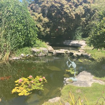 Seaside Gardens - Asian garden koi pond - Nurseries & Gardening Near Me - Carpinteria, California
