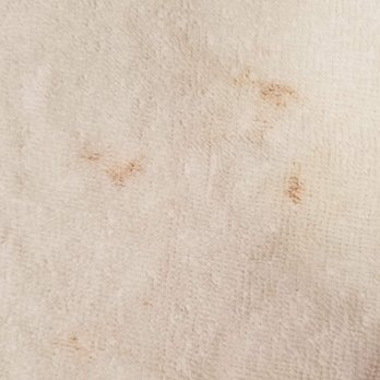 Home2 Suites by Hilton Murfreesboro - Close-up of stains on reverse side of washcloth that was set out with the fresh towels. - Hotels Near Me - Murfreesboro, Tennessee Home2 Suites by Hilton Murfreesboro - Close-up of stains on reverse side of washcloth that was set out with the fresh towels. - Hotels Near Me - Murfreesboro, Tennessee