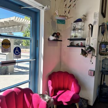 Cruise Coffee Cafe - Front sitting area - Cafes Near Me - Scotts Valley, California Cruise Coffee Cafe - Front sitting area - Cafes Near Me - Scotts Valley, California