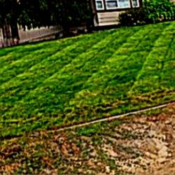 Premium Lawncare