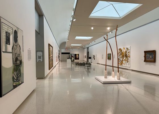 Carnegie Museum of Art by null