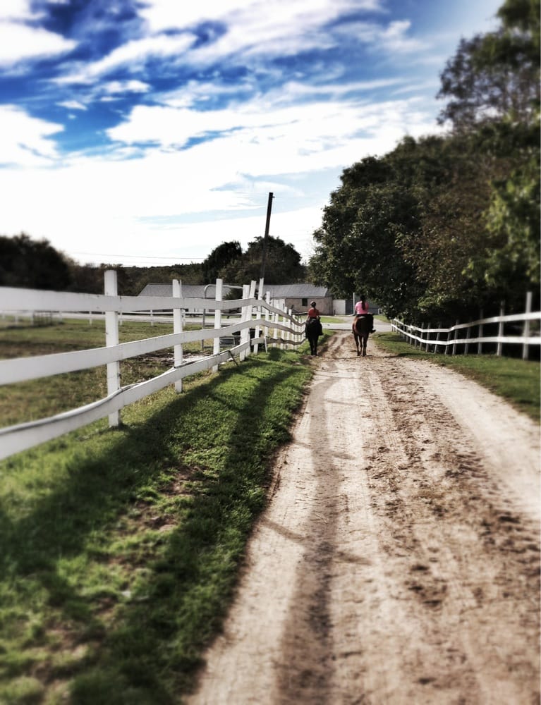 Lehman Farms - equestrian in Pittsford, NY